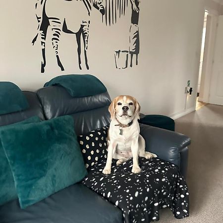 Hereford - Finch House - Modern 4 Bedroom House Located In South Hereford, Dog Friendly With Nearby Countryside, Pool Table, Sleeps Up To 10 Guests - Hosted By Rentmyhouse Exterior photo